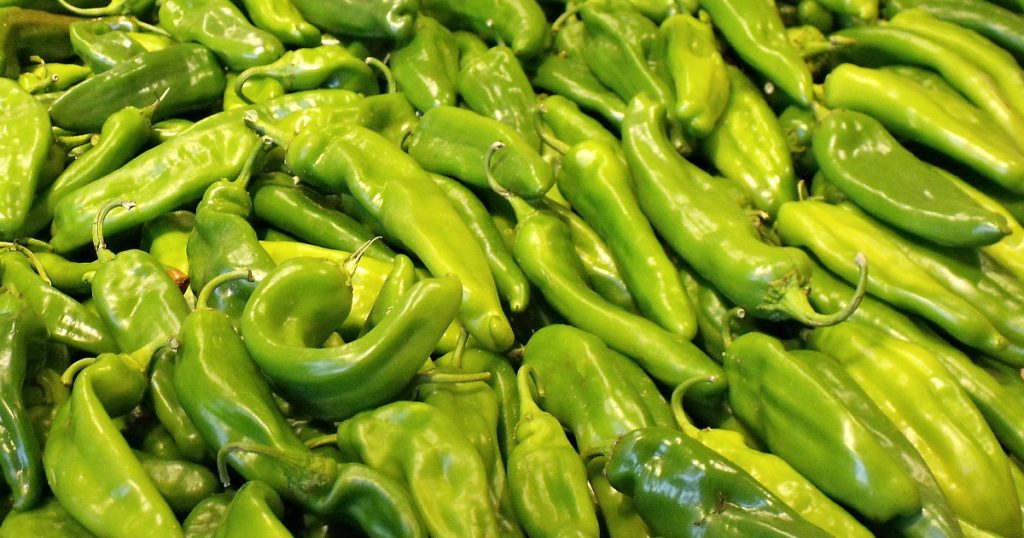 How to Roast Hatch Chiles in The Oven - Mama Likes To Cook