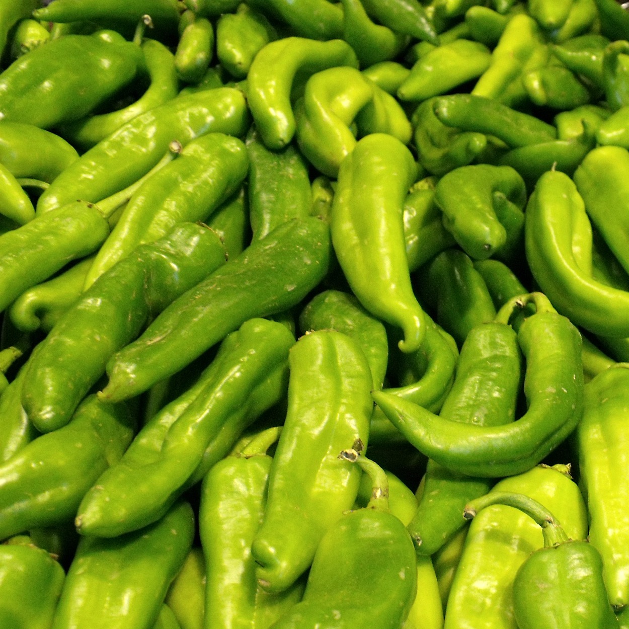 insta hatch chile peppers