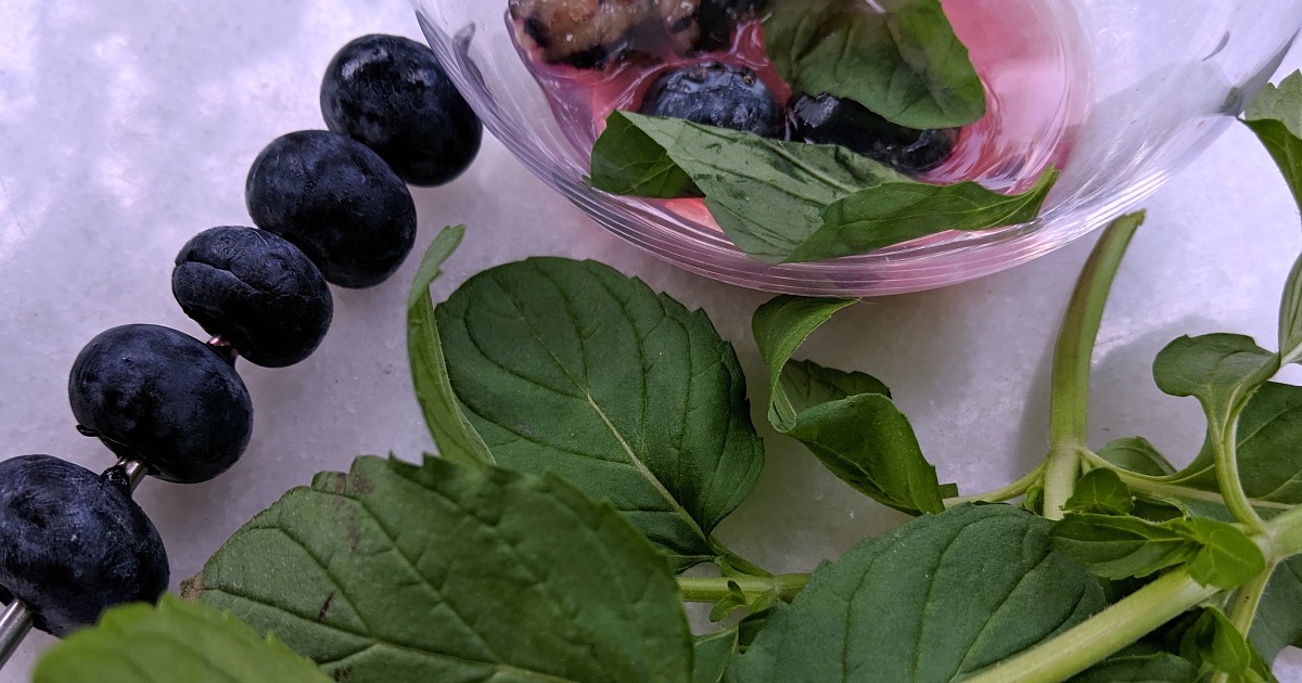 making a blueberry tonic