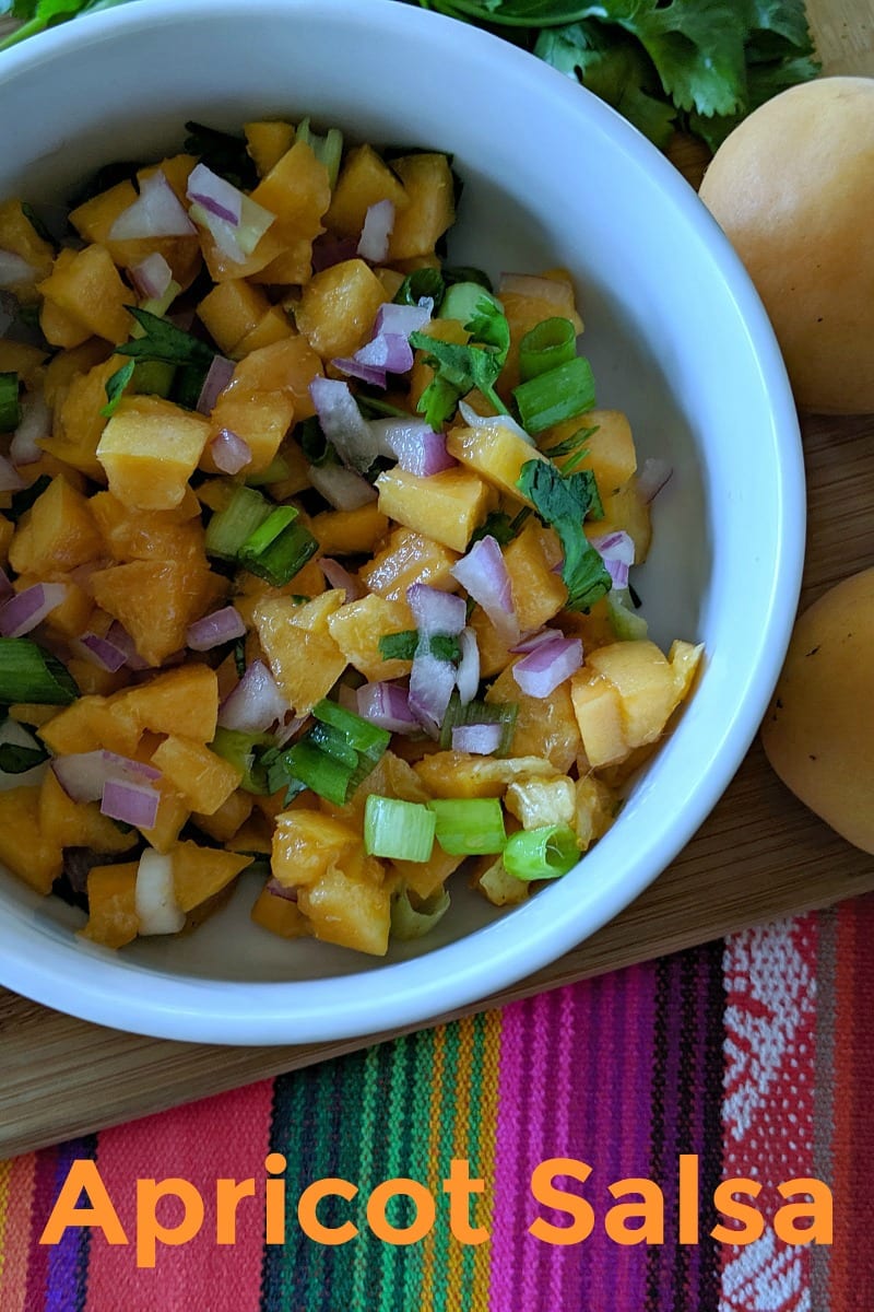 pin fresh fruit apricot salsa