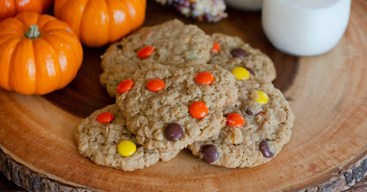 feature gluten free thanksgiving cookies
