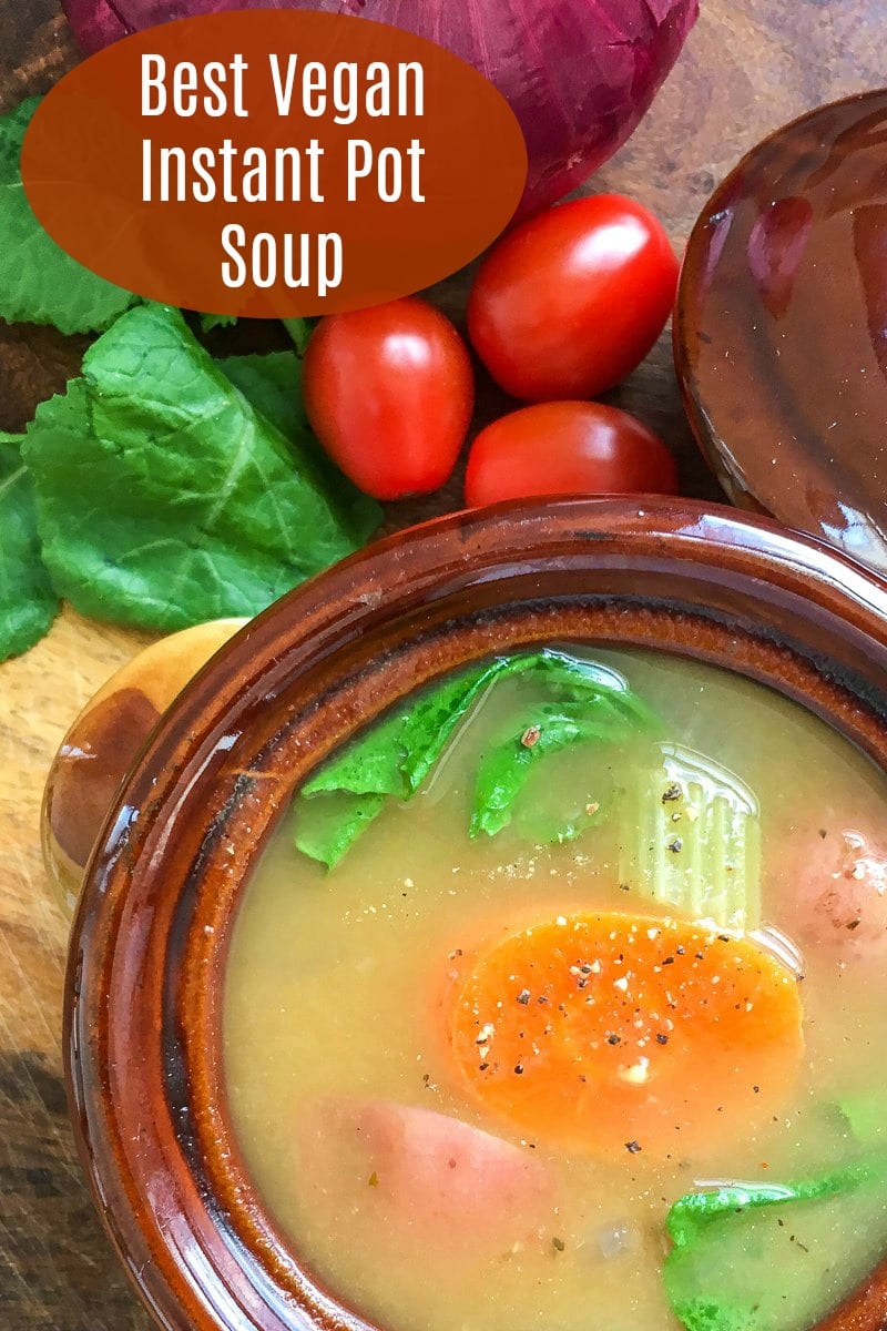 pin vegetable instant pot soup