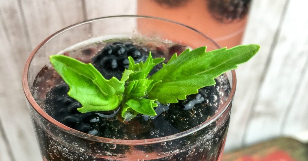 Sparkling Blackberry Basil Mocktail Recipe Mama Likes To Cook