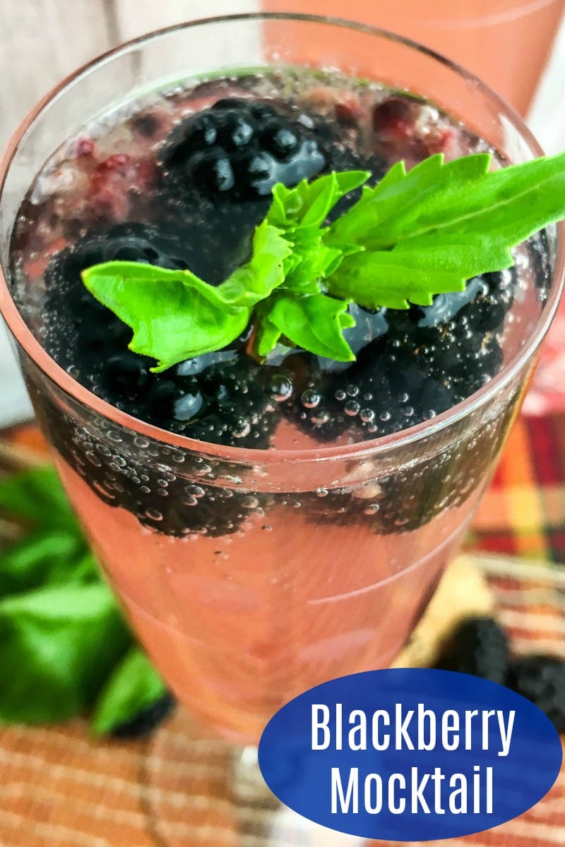 Sparkling Blackberry Basil Mocktail Recipe #Mocktail #VirginDrink #VirginCocktail #Blackberries #Recipe #DrinkRecipe #MocktailRecipe