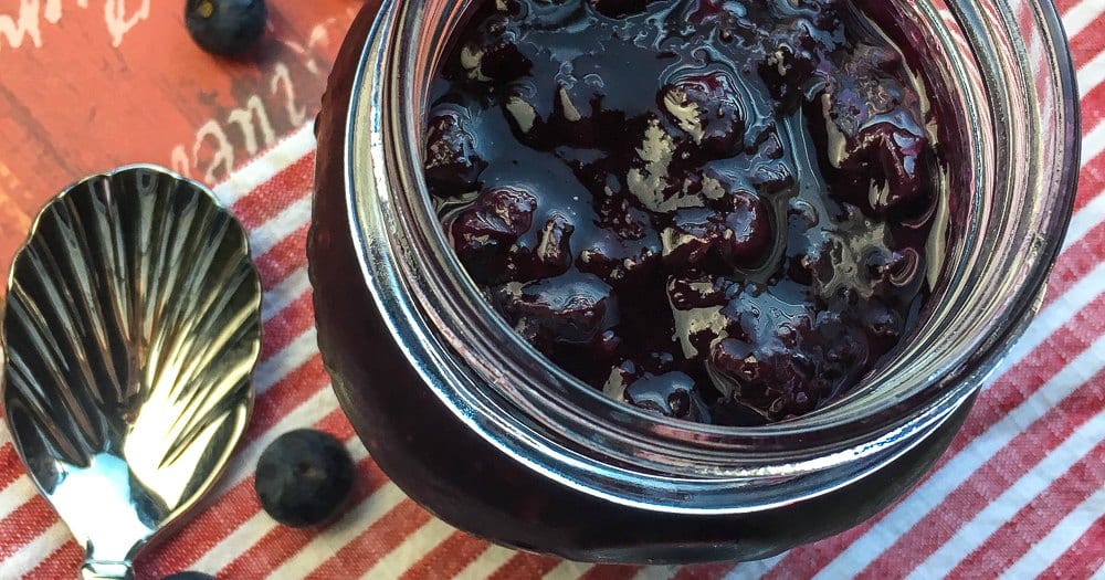 feature instant pot blueberry compote