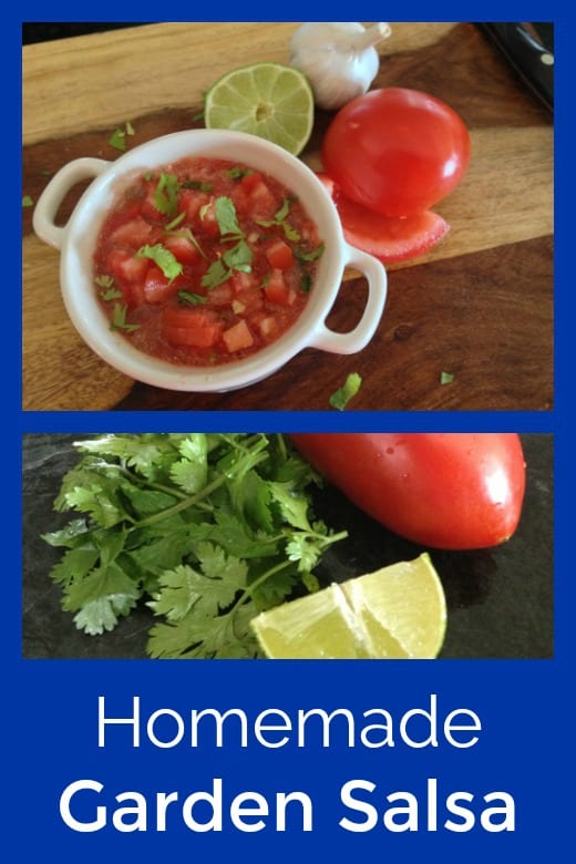 Homemade Garden Salsa Recipe #Salsa #SalsaRecipes #TomatoSalsa