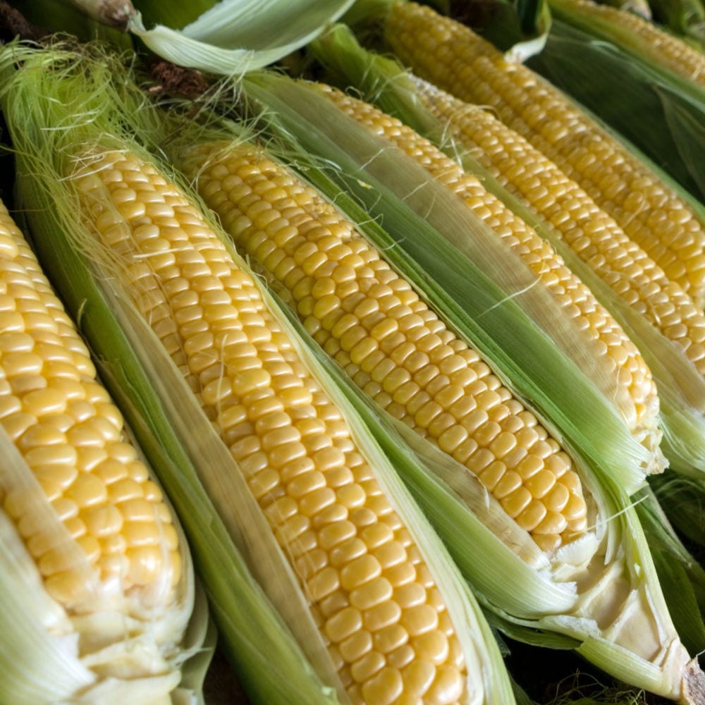 yellow corn on the cob