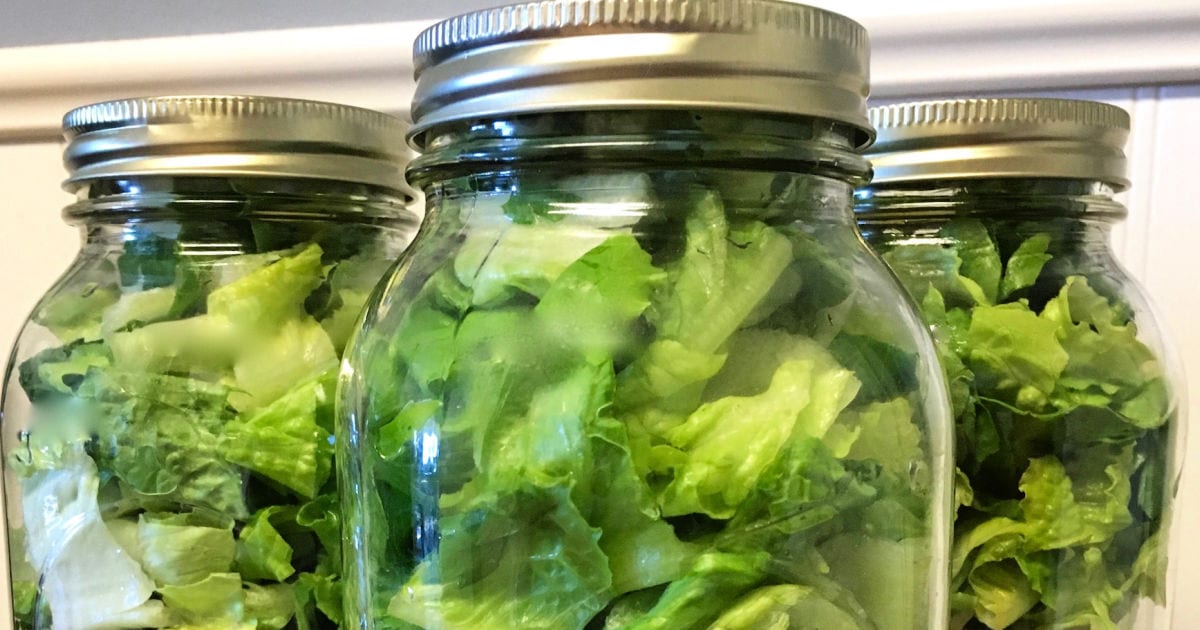 lettuce in mason jars