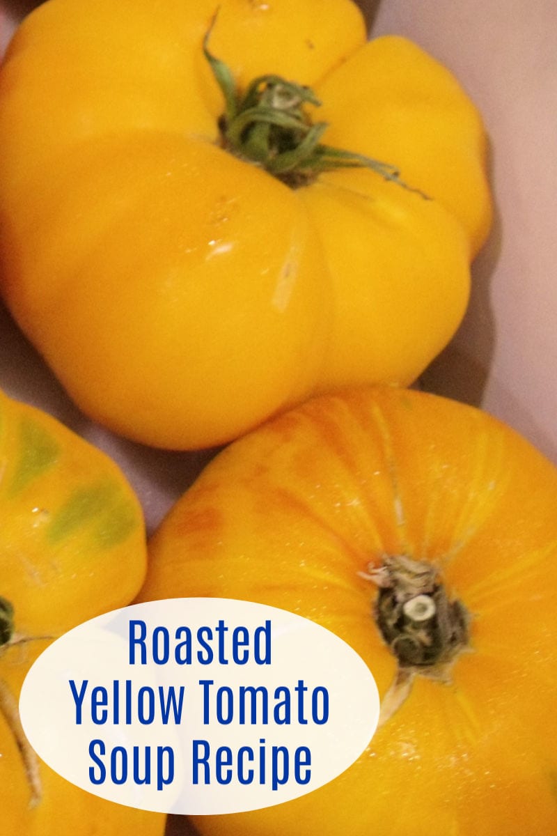 Vegan Roasted Yellow Tomato Soup Recipe #TomatoSoup #YellowTomatoes #YellowTomato