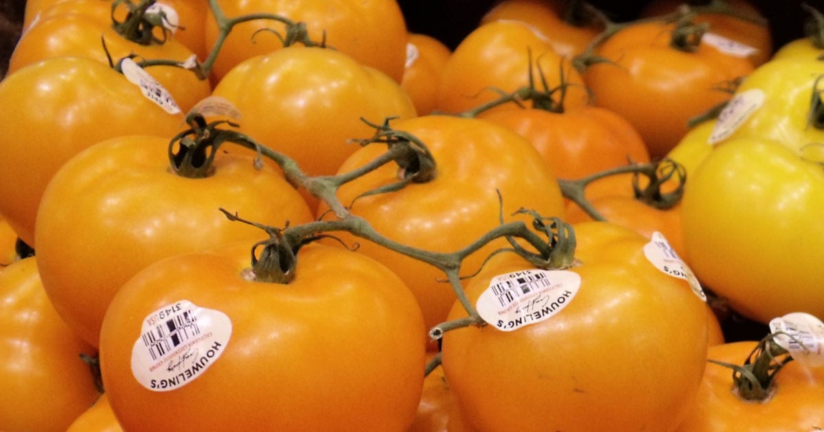 feature yellow tomatoes at grocery store