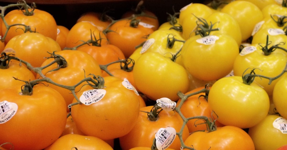fresh yellow tomatoes