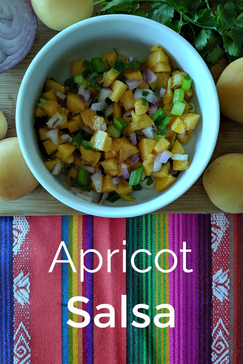 Yummy Fresh Apricot Salsa Recipe #Salsa #FruitSalsa #Apricot #Apricots #ApricotSalsa #Recipe #Vegan #Vegetarian #TacoTuesday