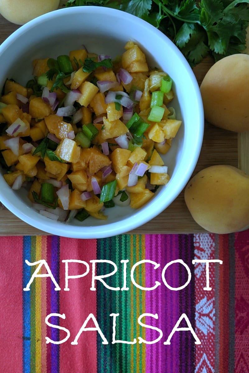 Yummy Fresh Apricot Salsa Recipe #Salsa #FruitSalsa #Apricot #Apricots #ApricotSalsa #Recipe #Vegan #Vegetarian #TacoTuesday