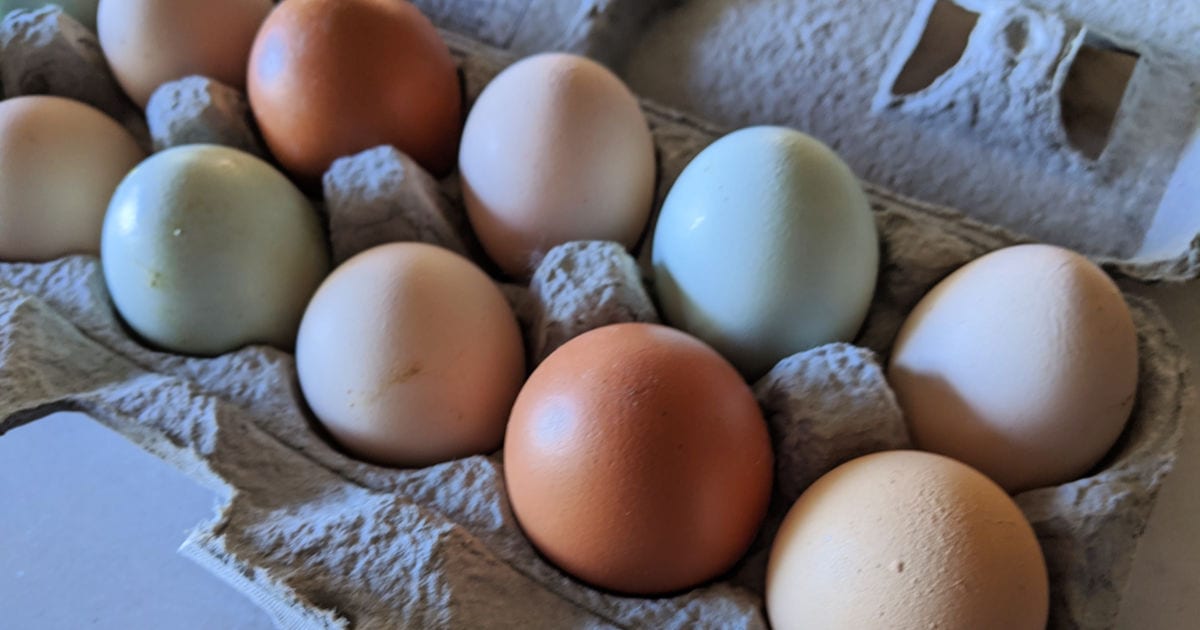 multi colored fresh eggs