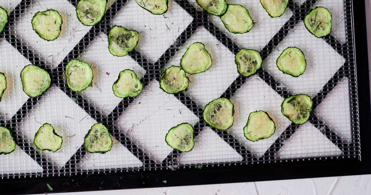 cucumber chips on dehydrator rack