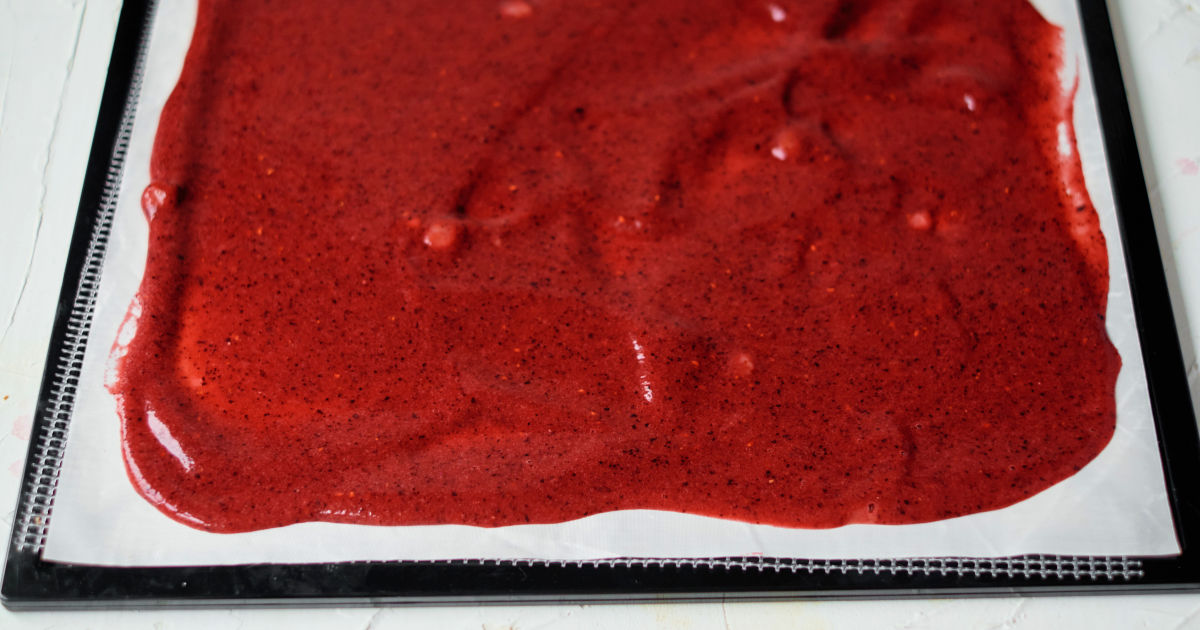 fruit roll up mixture on dehydrator tray