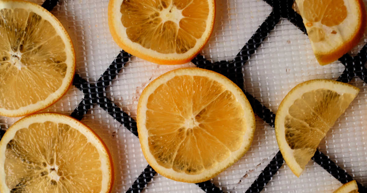 orange slices on dehydrator tray