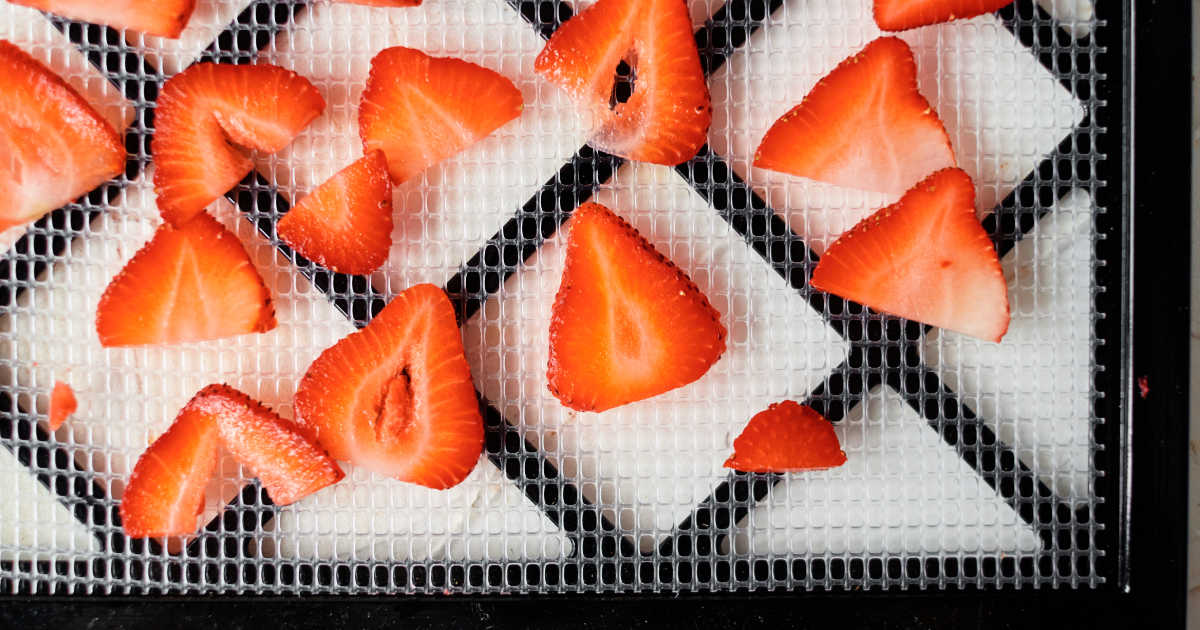 sliced strawberries on drying rack