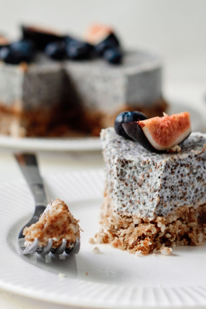 Blueberry and Fig Chia Pudding Cake Recipe #nobake #nobakedessert