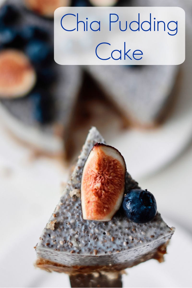 Blueberry and Fig Chia Pudding Cake Recipe #nobake #nobakedessert