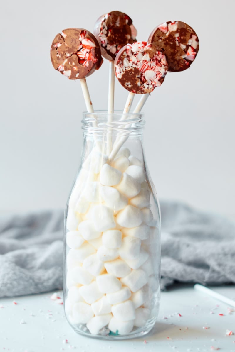 Chocolate Peppermint Lollipops Recipe that is easy to make with crushed candy canes and milk chocolate.