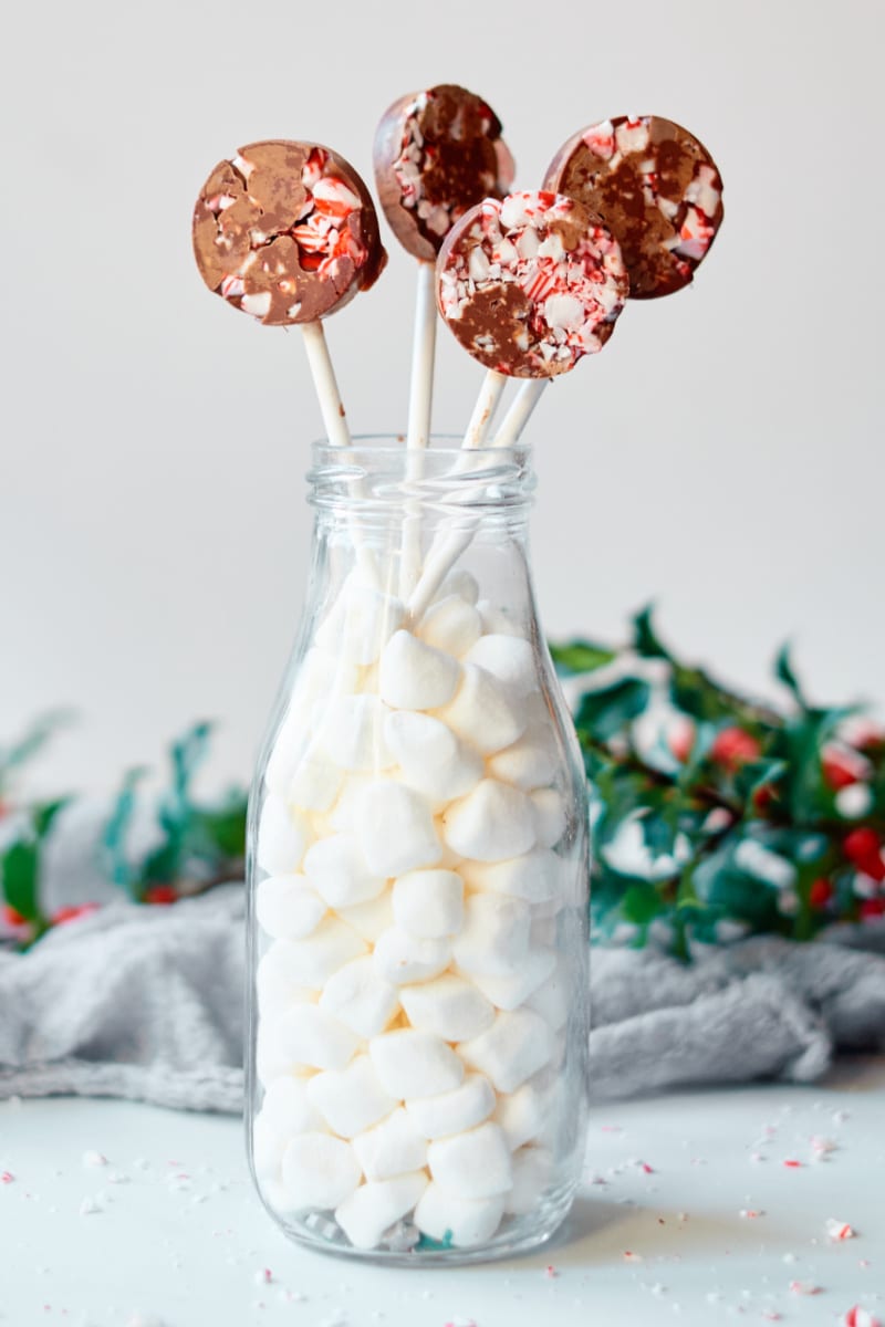 Chocolate Peppermint Lollipops Recipe that is easy to make with crushed candy canes and milk chocolate.