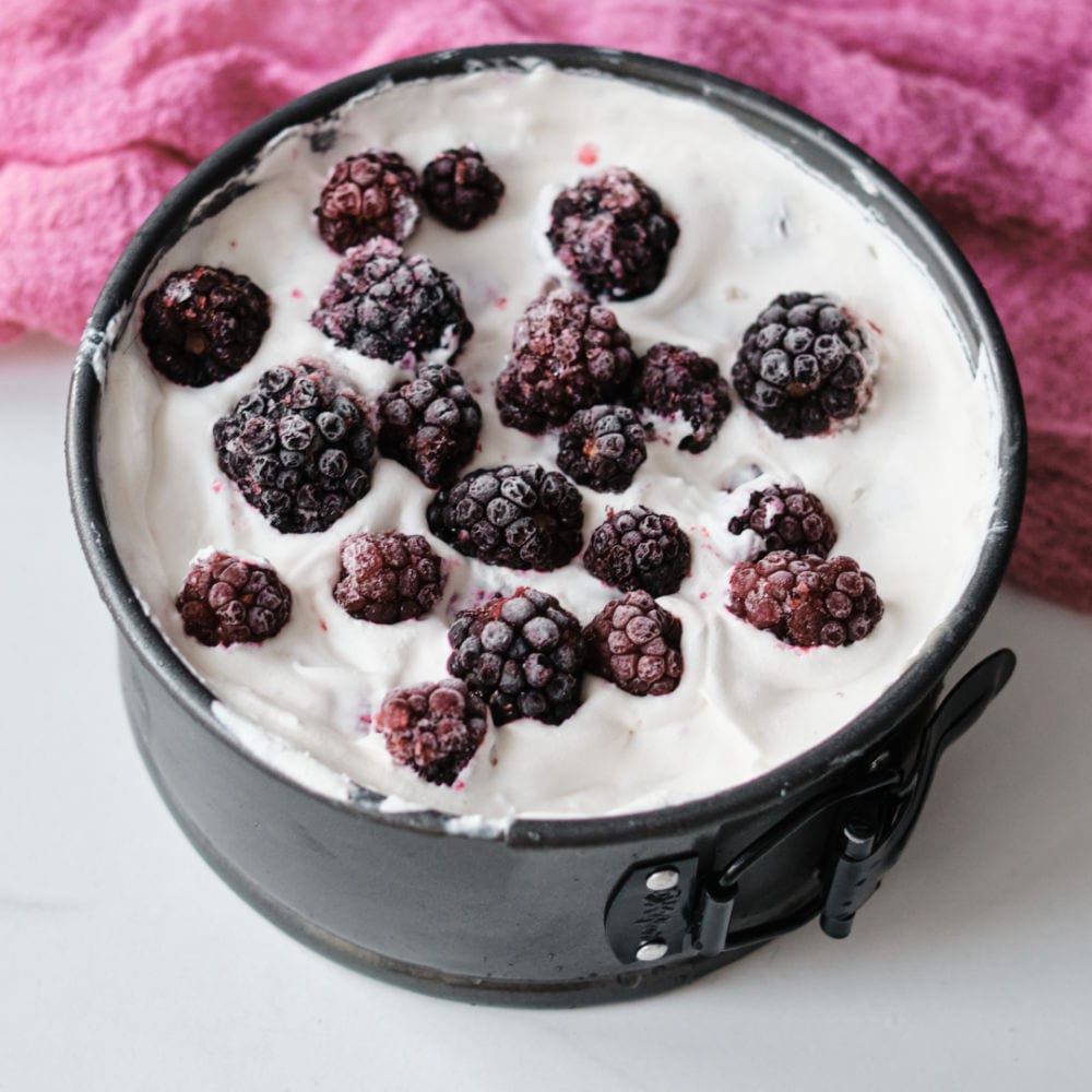 making a frozen yogurt cake in a springform pan.