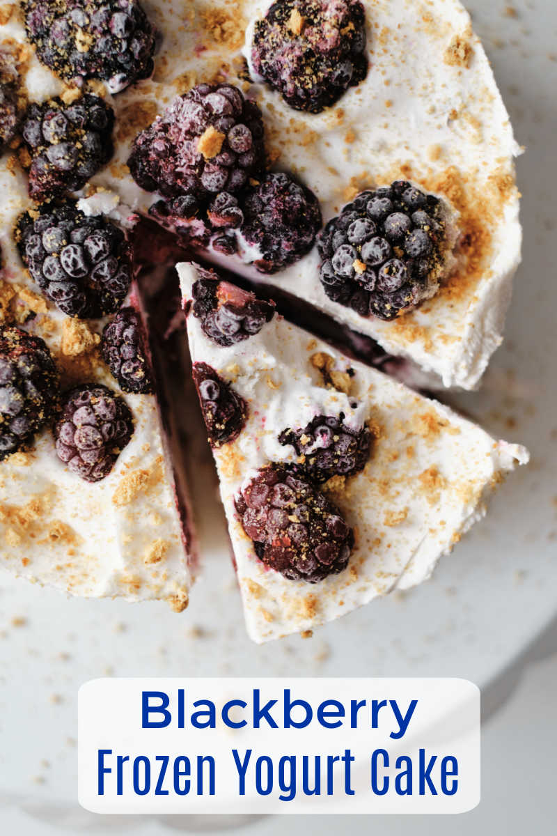 This gorgeous blackberry frozen yogurt cake is amazingly simple to make, but tastes great and looks impressive.