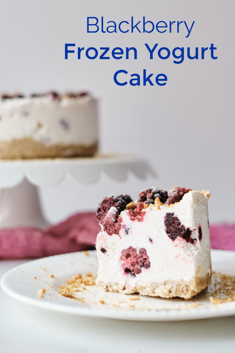 This gorgeous blackberry frozen yogurt cake is amazingly simple to make, but tastes great and looks impressive.