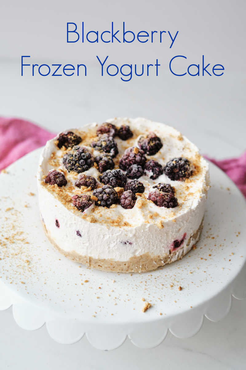 This gorgeous blackberry frozen yogurt cake is amazingly simple to make, but tastes great and looks impressive.