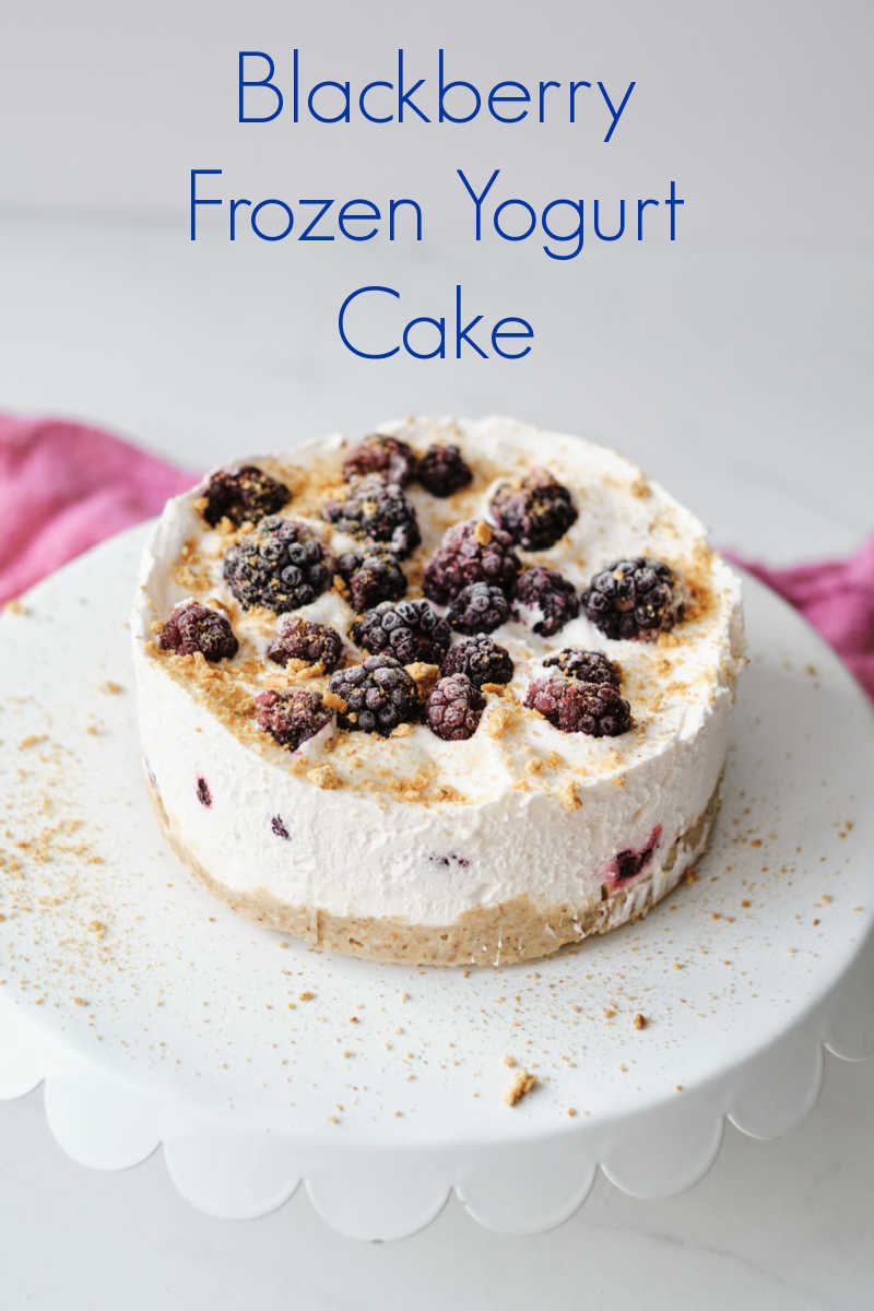 This gorgeous blackberry frozen yogurt cake is amazingly simple to make, but tastes great and looks impressive.