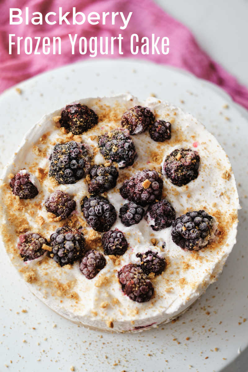 This gorgeous blackberry frozen yogurt cake is amazingly simple to make, but tastes great and looks impressive.