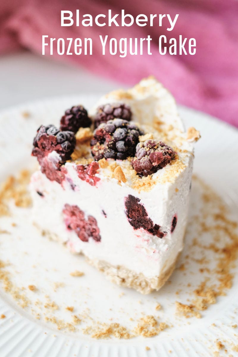 This gorgeous blackberry frozen yogurt cake is amazingly simple to make, but tastes great and looks impressive.