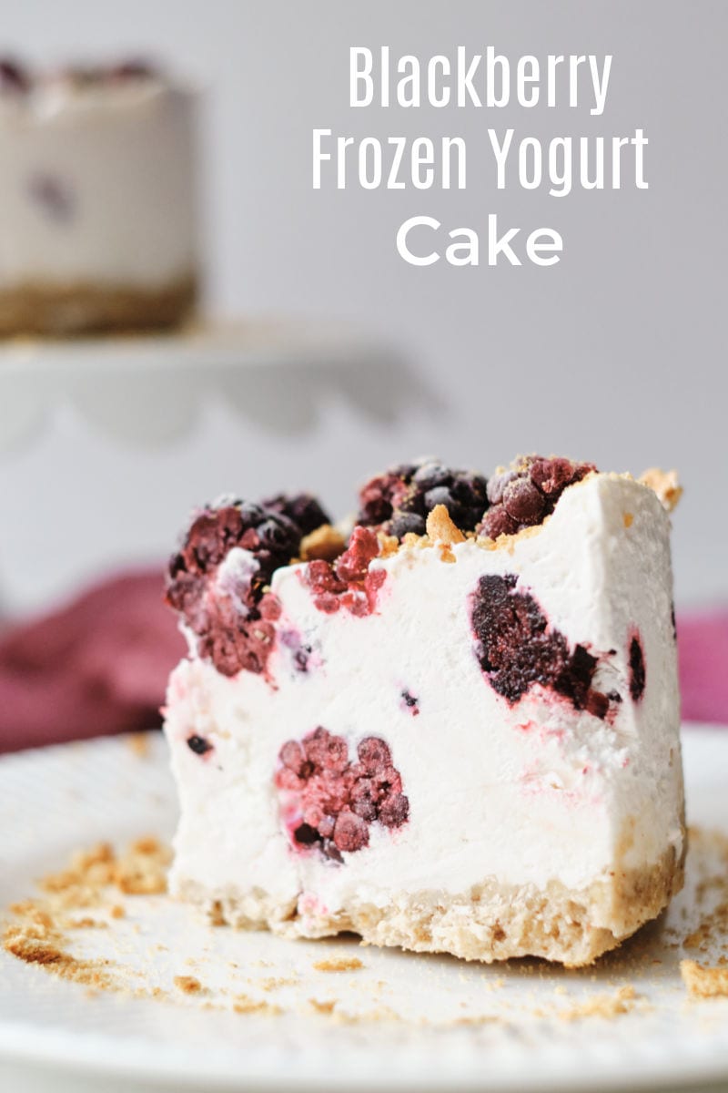 This gorgeous blackberry frozen yogurt cake is amazingly simple to make, but tastes great and looks impressive.