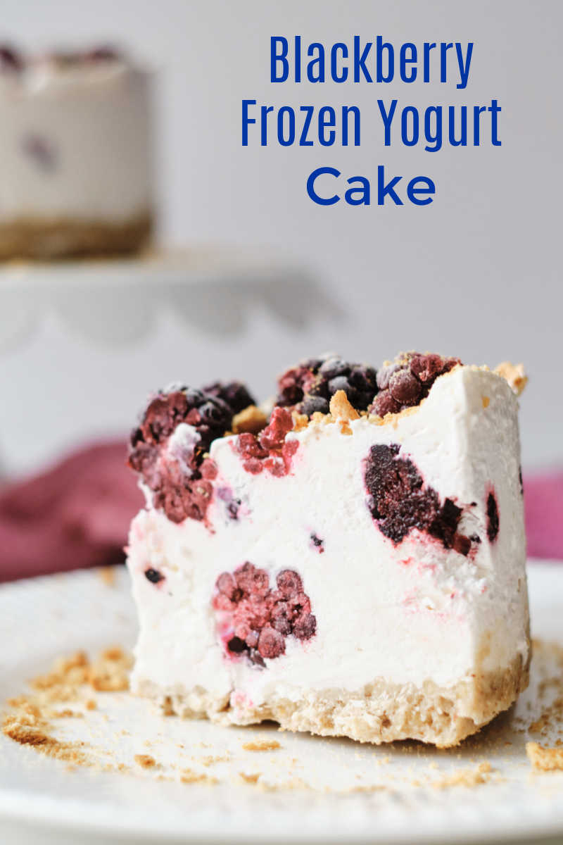 This gorgeous blackberry frozen yogurt cake is amazingly simple to make, but tastes great and looks impressive.