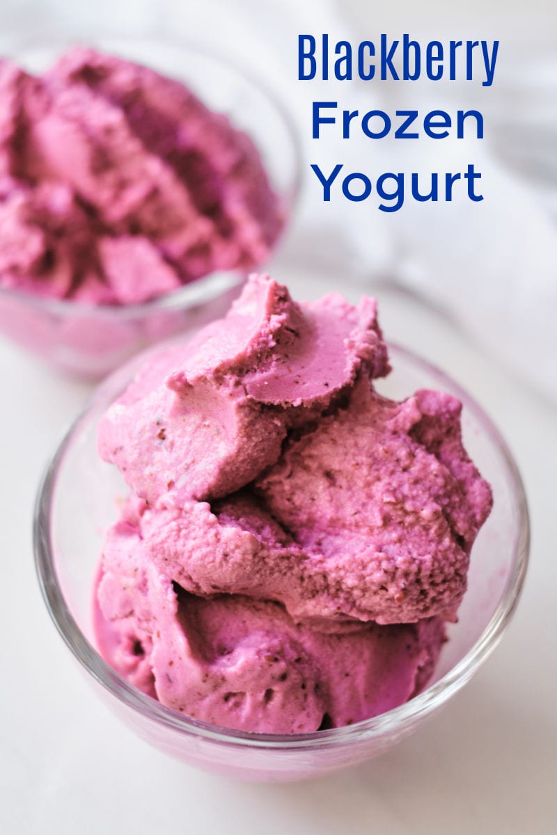 There are only two ingredients in this easy blackberry frozen yogurt recipe, but it is absolutely delicious when made in an ice cream maker. 