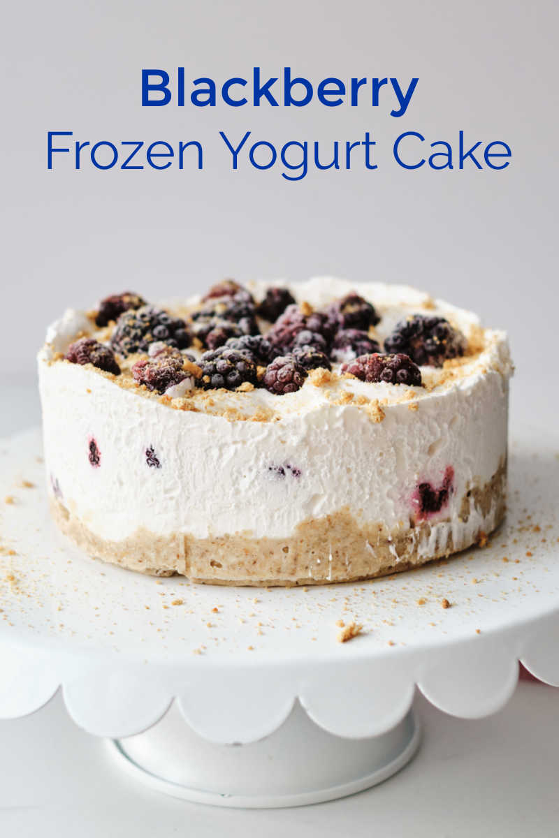 Craving a delicious and refreshing summer dessert? Look no further than this Blackberry Frozen Yogurt Cake! This easy recipe boasts a creamy yogurt filling bursting with blackberries, all on a crumbly graham cracker crust. No baking required, making it perfect for anyone to create a professional-looking cake at home.