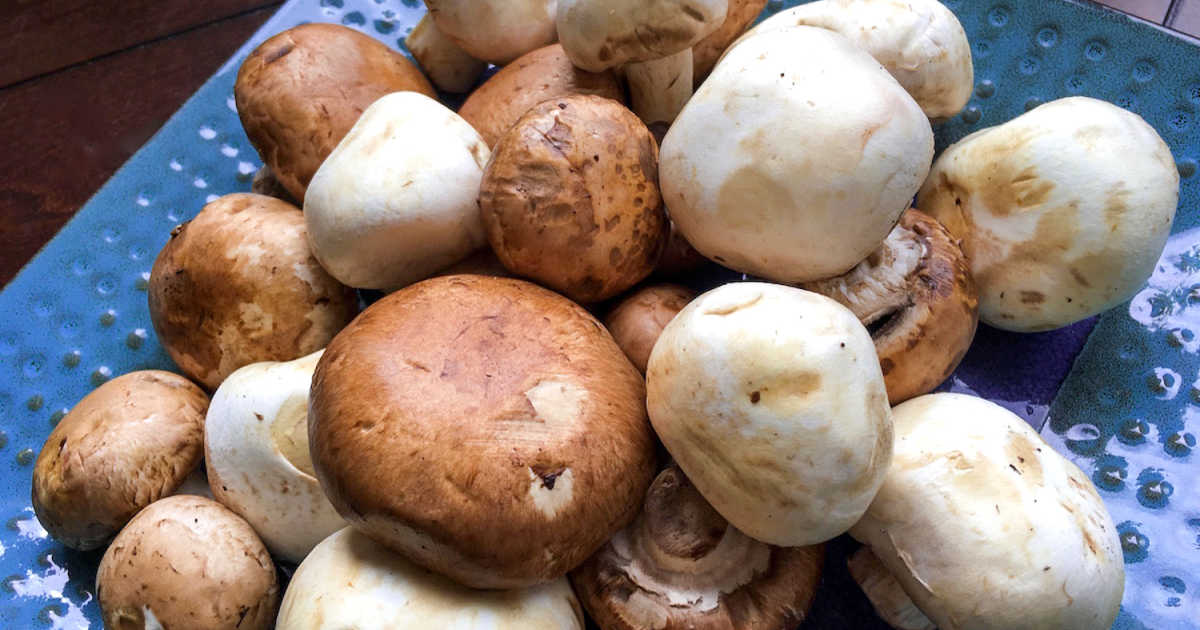 basic brown and white mushrooms.