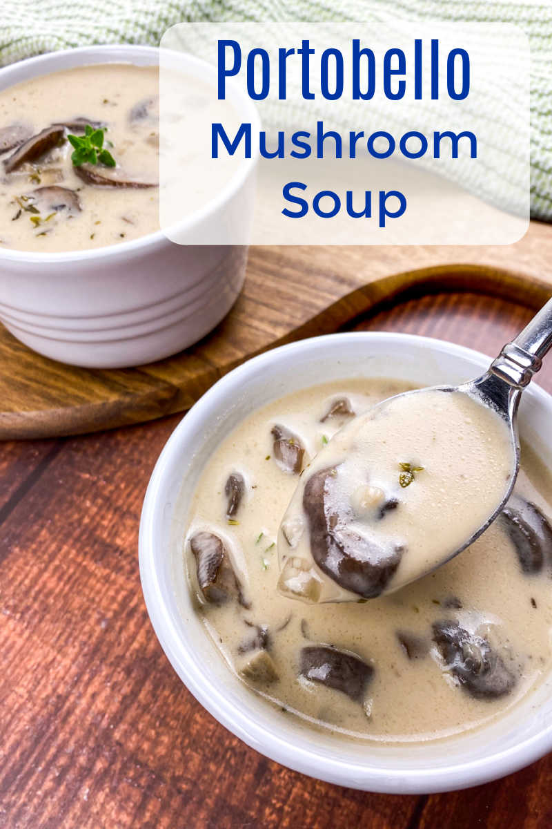 spoon dipping into portobello mushroom soup in white bowl.