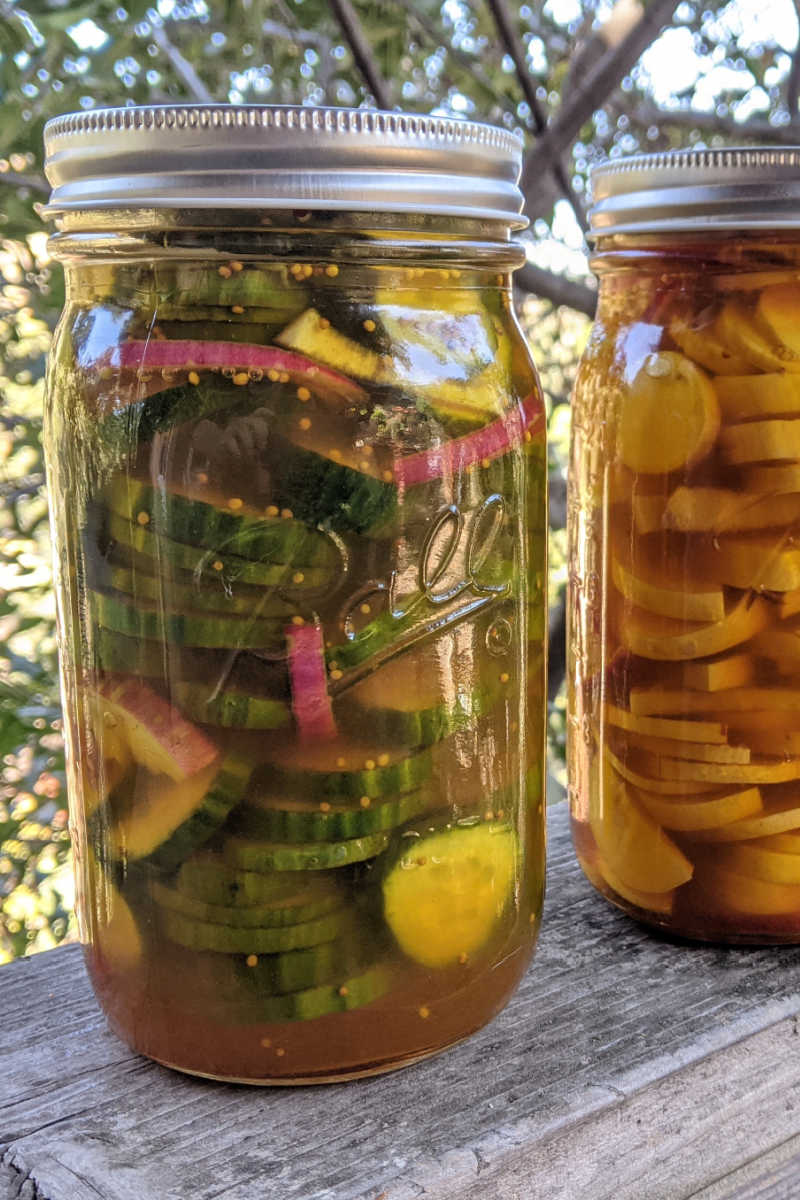 Turmeric refrigerator pickles are easy and absolutely delicious, whether you make them with cucumbers, zucchini or yellow squash. 