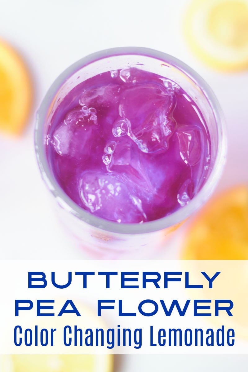 When you want a tasty beverage with a fun twist, make color changing lemonade with butterfly pea flower tea.