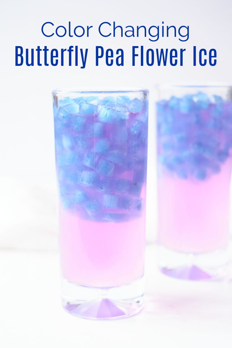 It is fun and easy to make magical color changing ice cubes, when you use all natural butterfly pea flower tea. 