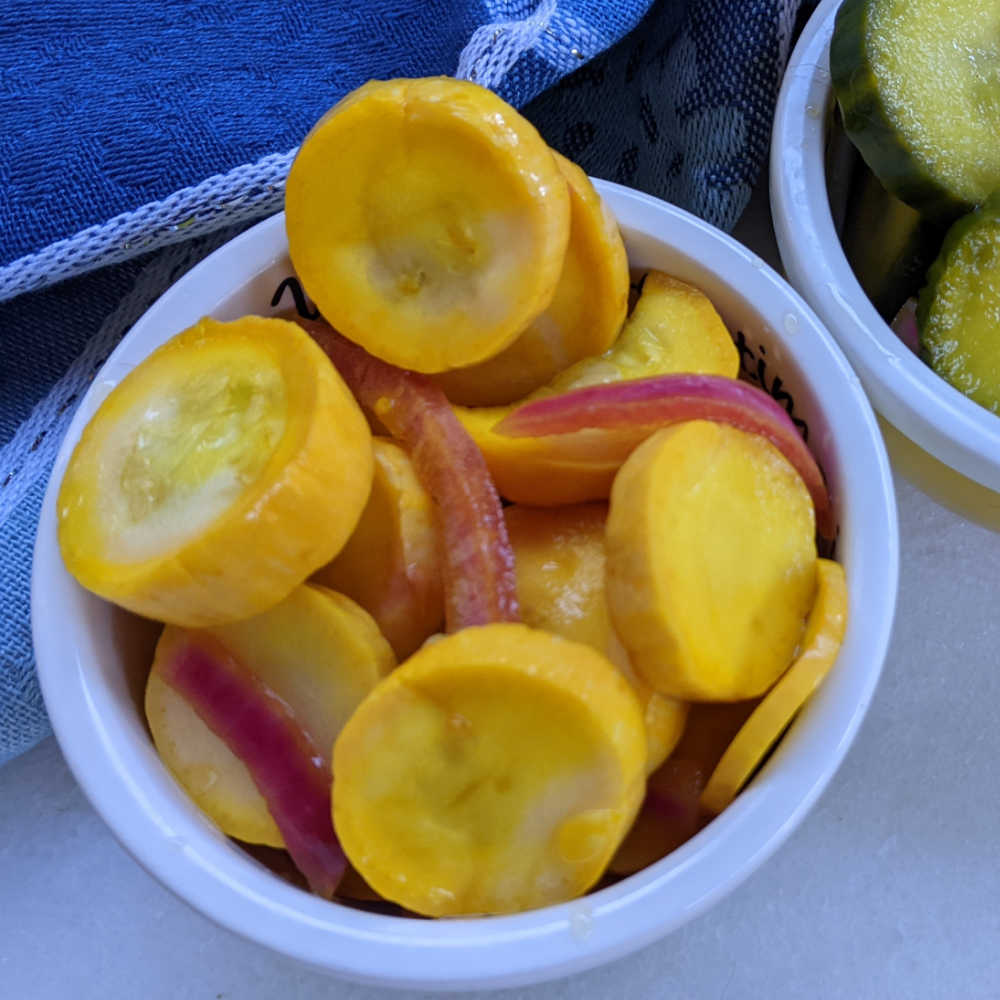 turmeric squash pickles.