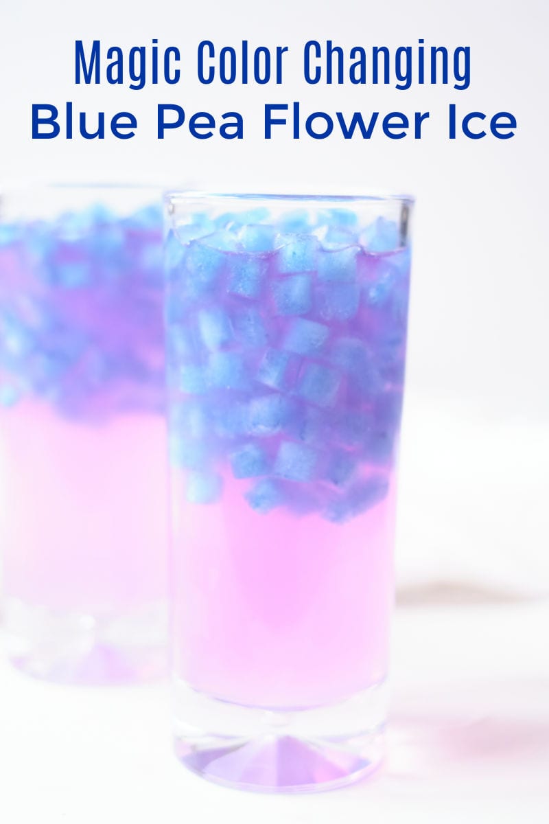 It is fun and easy to make magical color changing ice cubes, when you use all natural butterfly pea flower tea. 