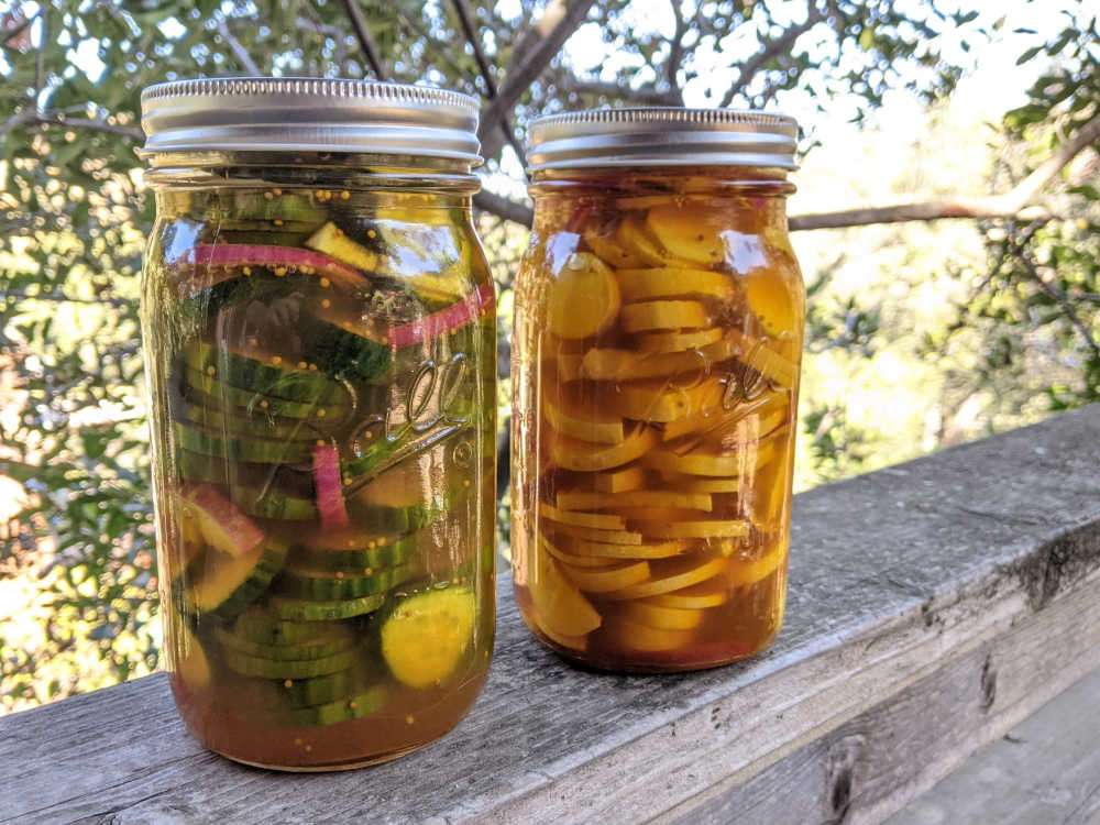 pickles in mason jars.