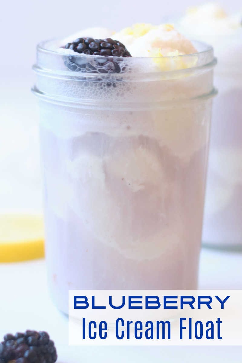 A blueberry ice cream float garnished with fresh berries and lemon zest is a wonderful treat, when you want a unique and easy dessert. 