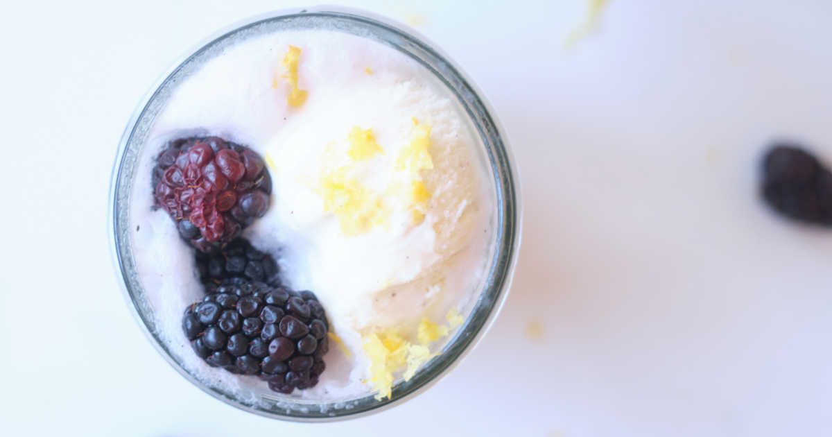 berry ice cream float