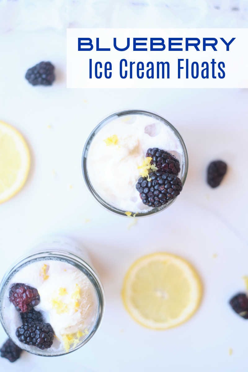 A blueberry ice cream float garnished with fresh berries and lemon zest is a wonderful treat, when you want a unique and easy dessert. 