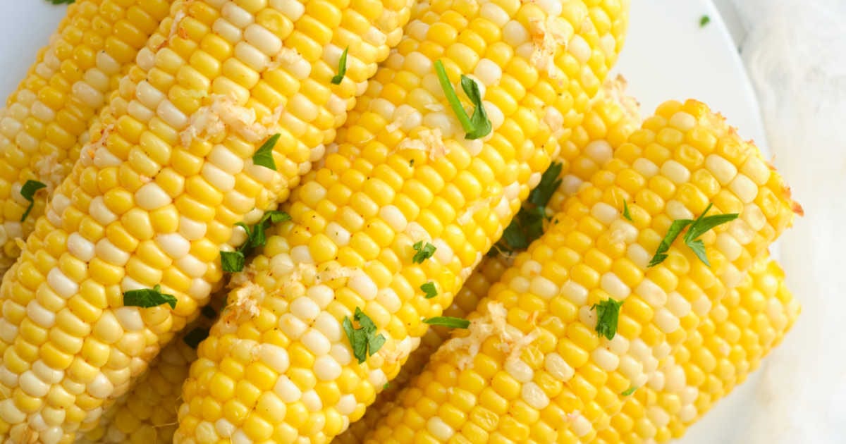corn on the cob with cilantro