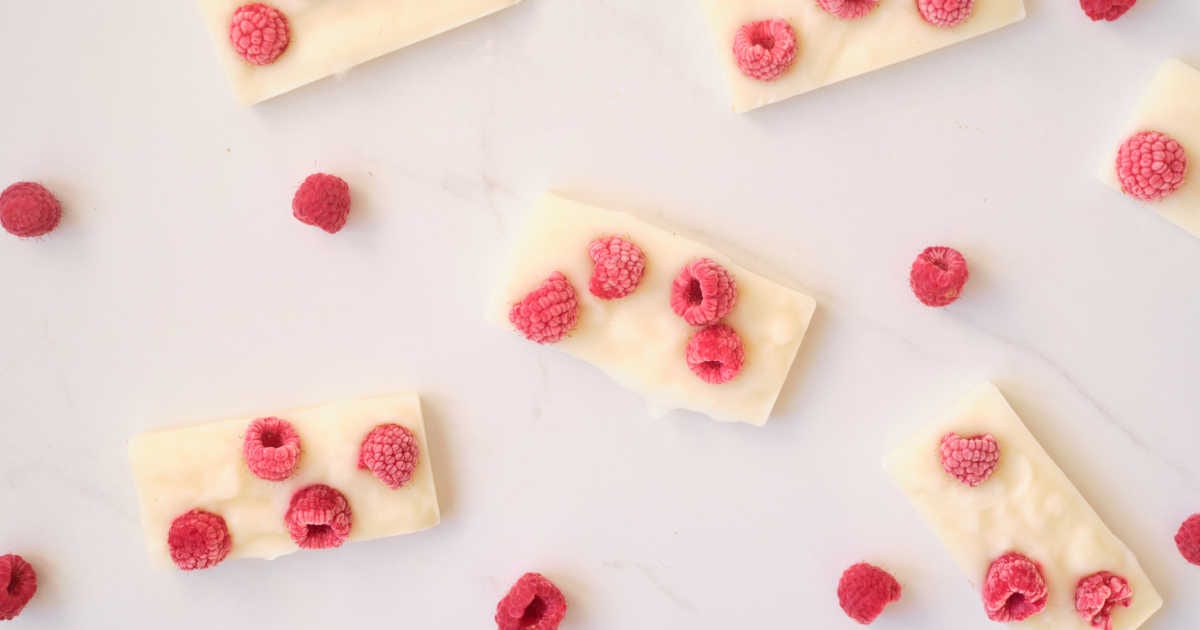 frozen yogurt bars flat lay.